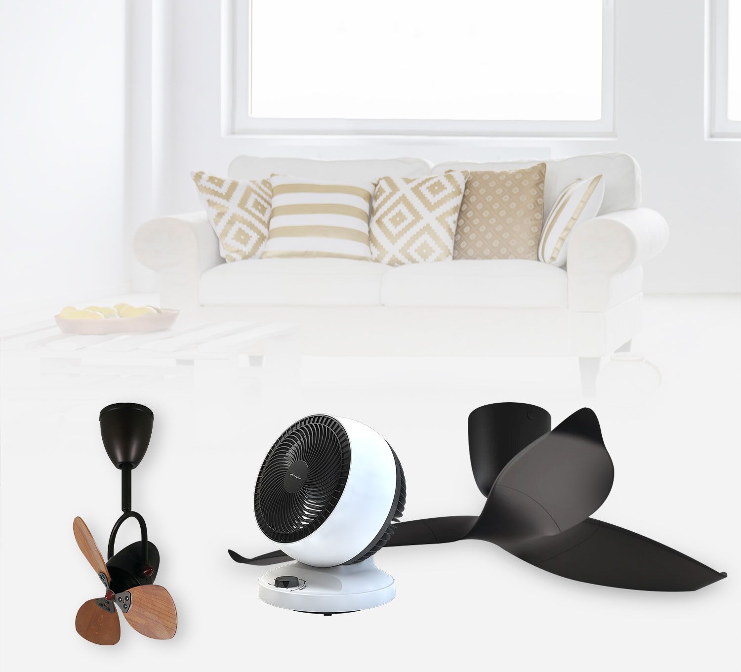 Tampoi lighting online deals