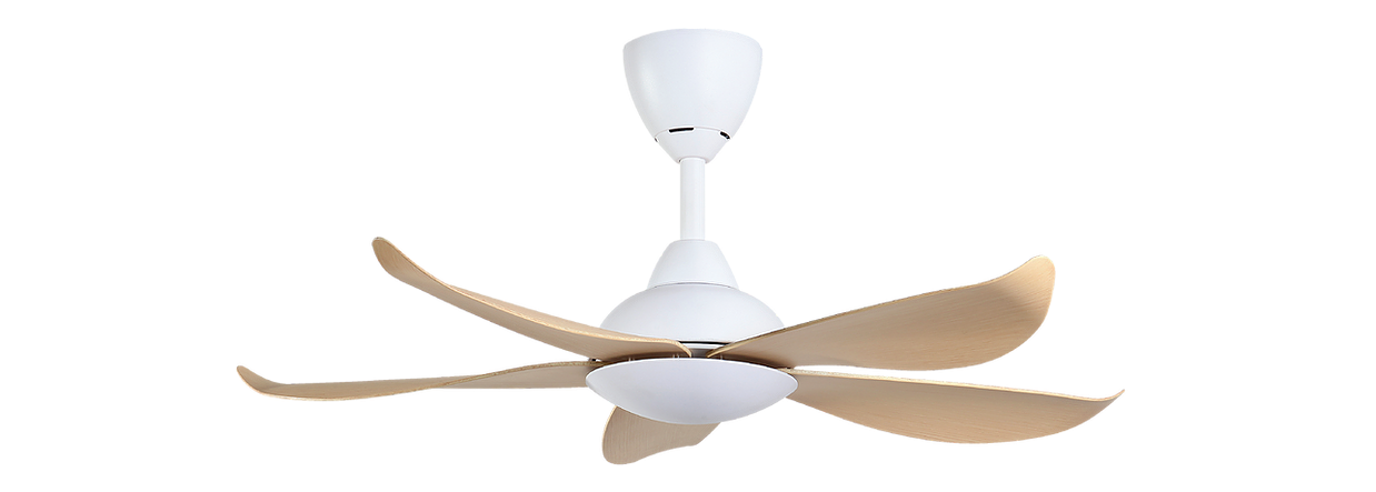 Luna 5b 40 Inch Dc Motor Ceiling Fan