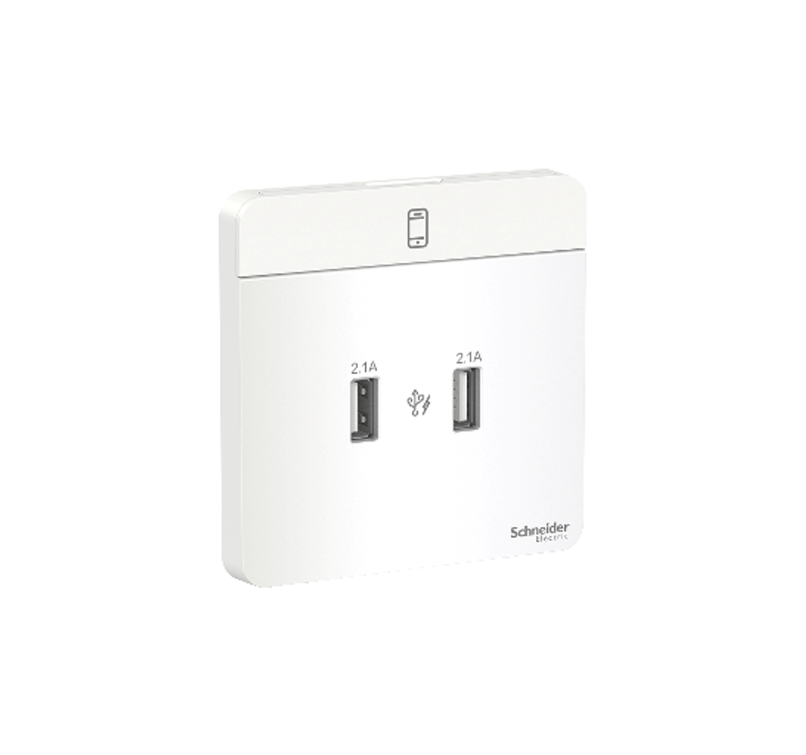 AvatarOn - 2 Gang 2.1A USB Wall Charger (White)