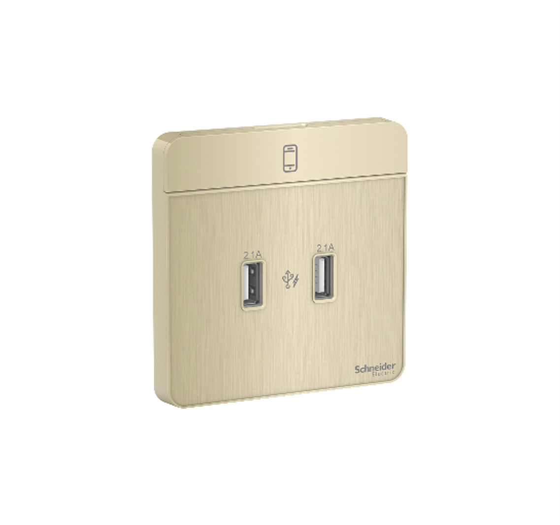 AvatarOn - 2 Gang 2.1A USB Wall Charger (Metal Gold Hairline)