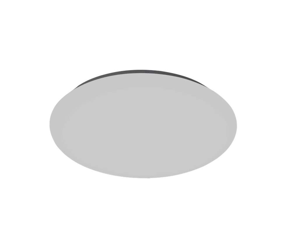 202 LED 24W Ceiling Light (3C)