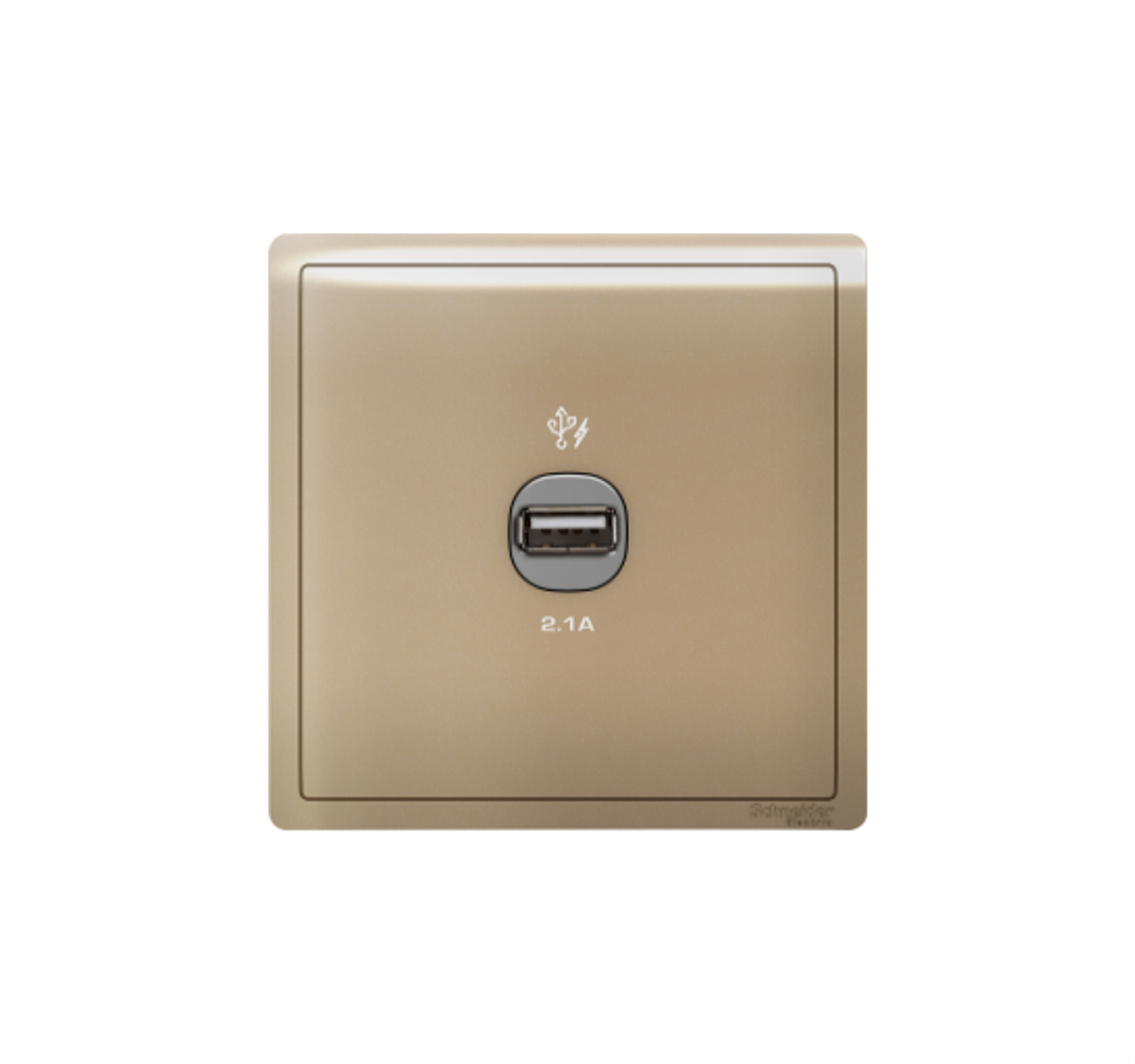 PIENO - USB Wall Charger 2.1A Single Outlet (Wine Gold)