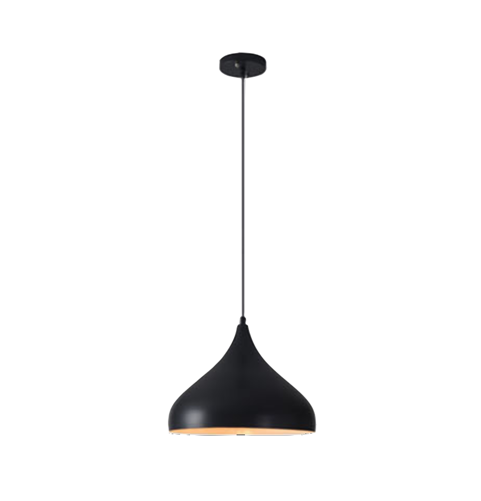 P61728/1L Pendant Light