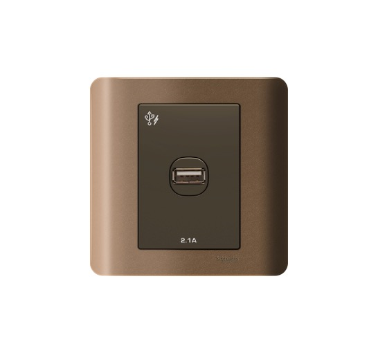 ZENCELO - USB Wall Charger 2.1A Single Outlet (Silver Bronze)