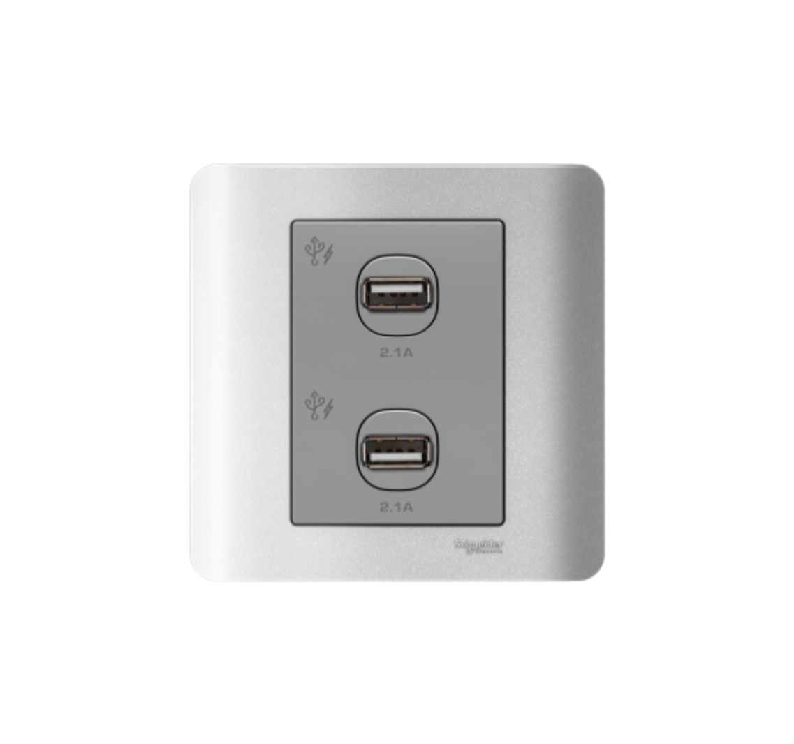 ZENCELO - USB Wall Charger 2.1A Dual Outlet (Silver Satin)