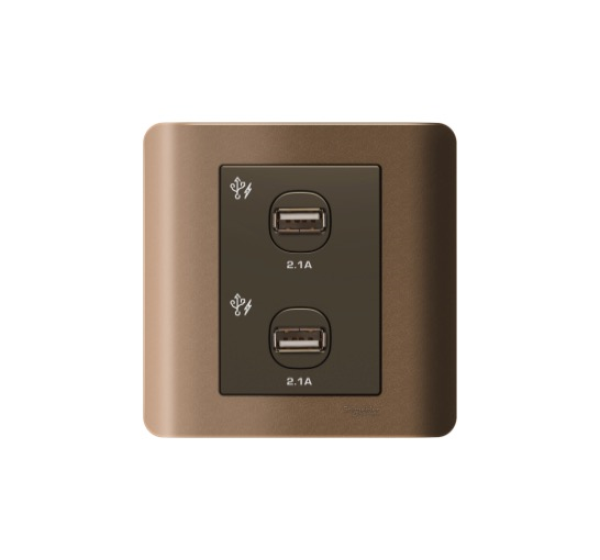 ZENCELO - USB Wall Charger 2.1A Dual Outlet (Silver Bronze)