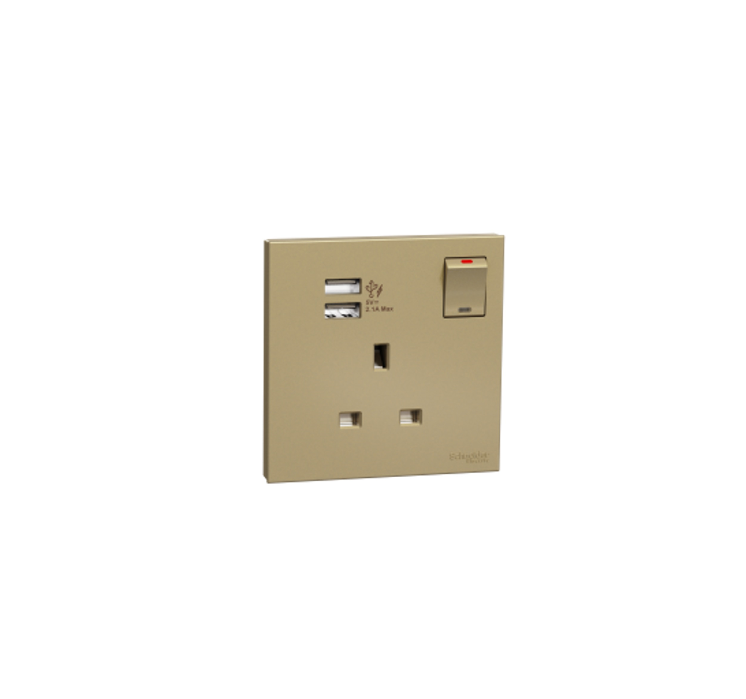 AvatarOn C - 1G Switched Socket + 2 Type A USB Port (Wine Gold)