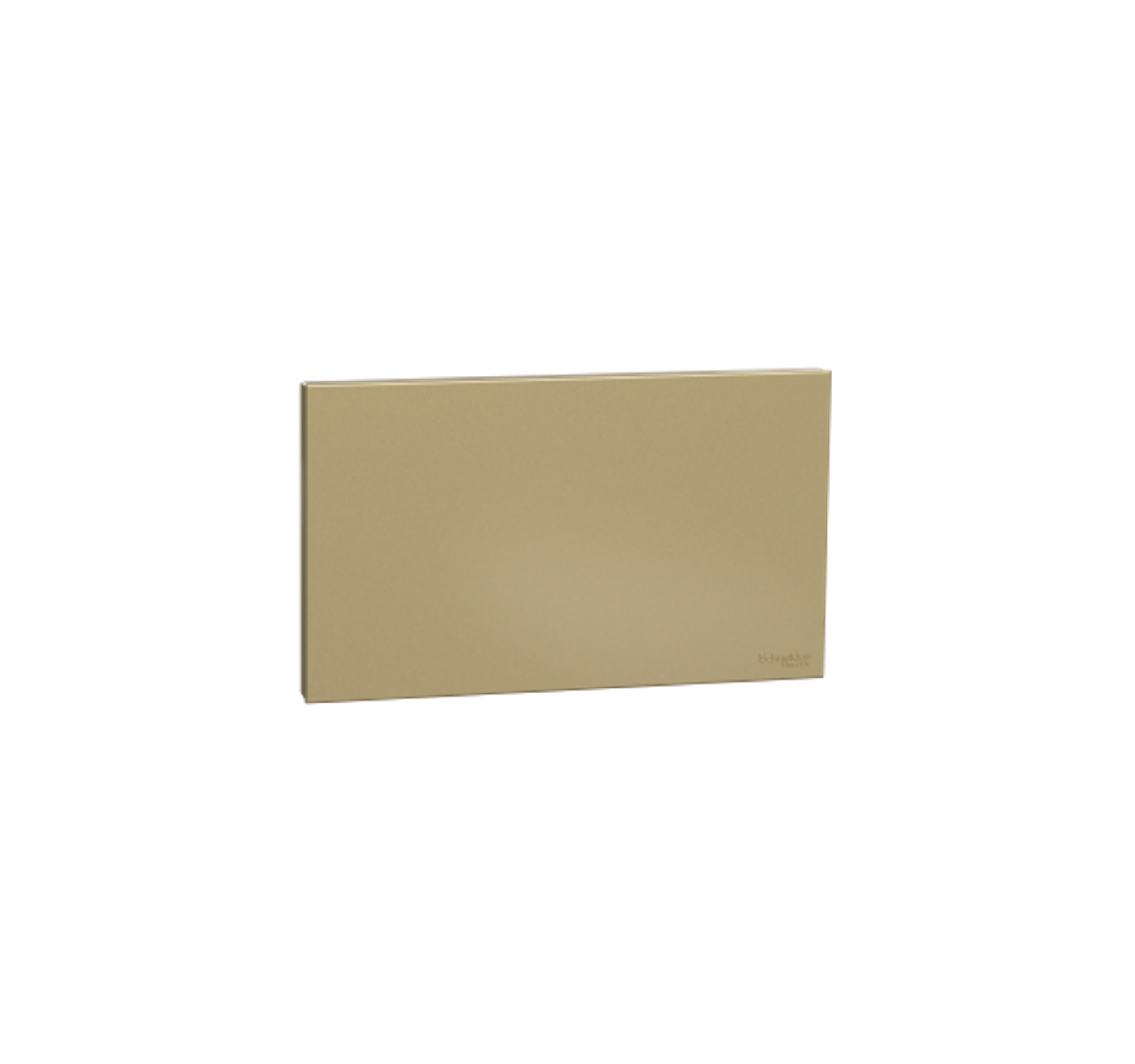 AvatarOn C - 2 Gang Blank Plate (Wine Gold)