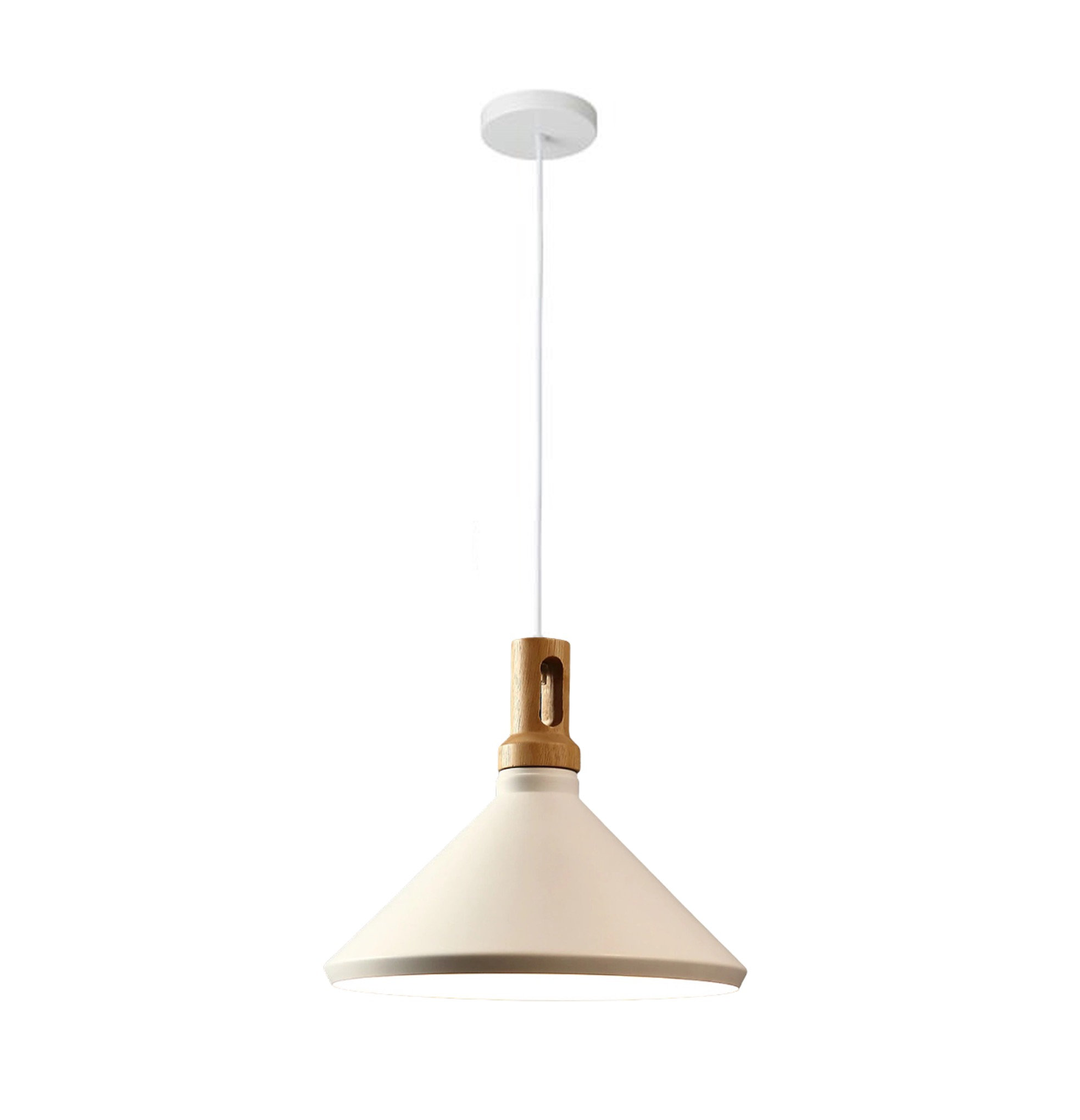 C7041/1L Pendant Light