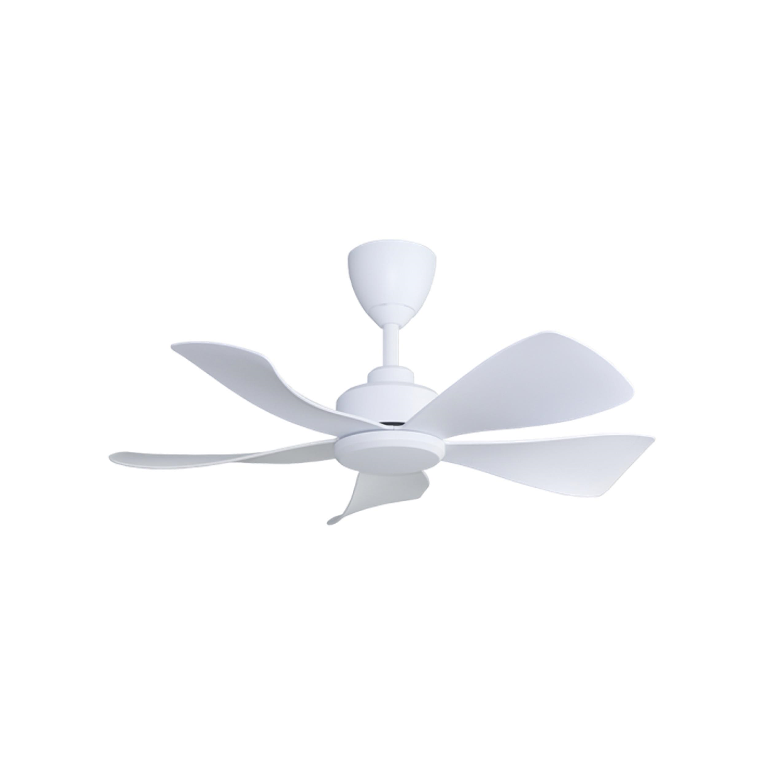 Tampoi Lighting Alpha Alphafan