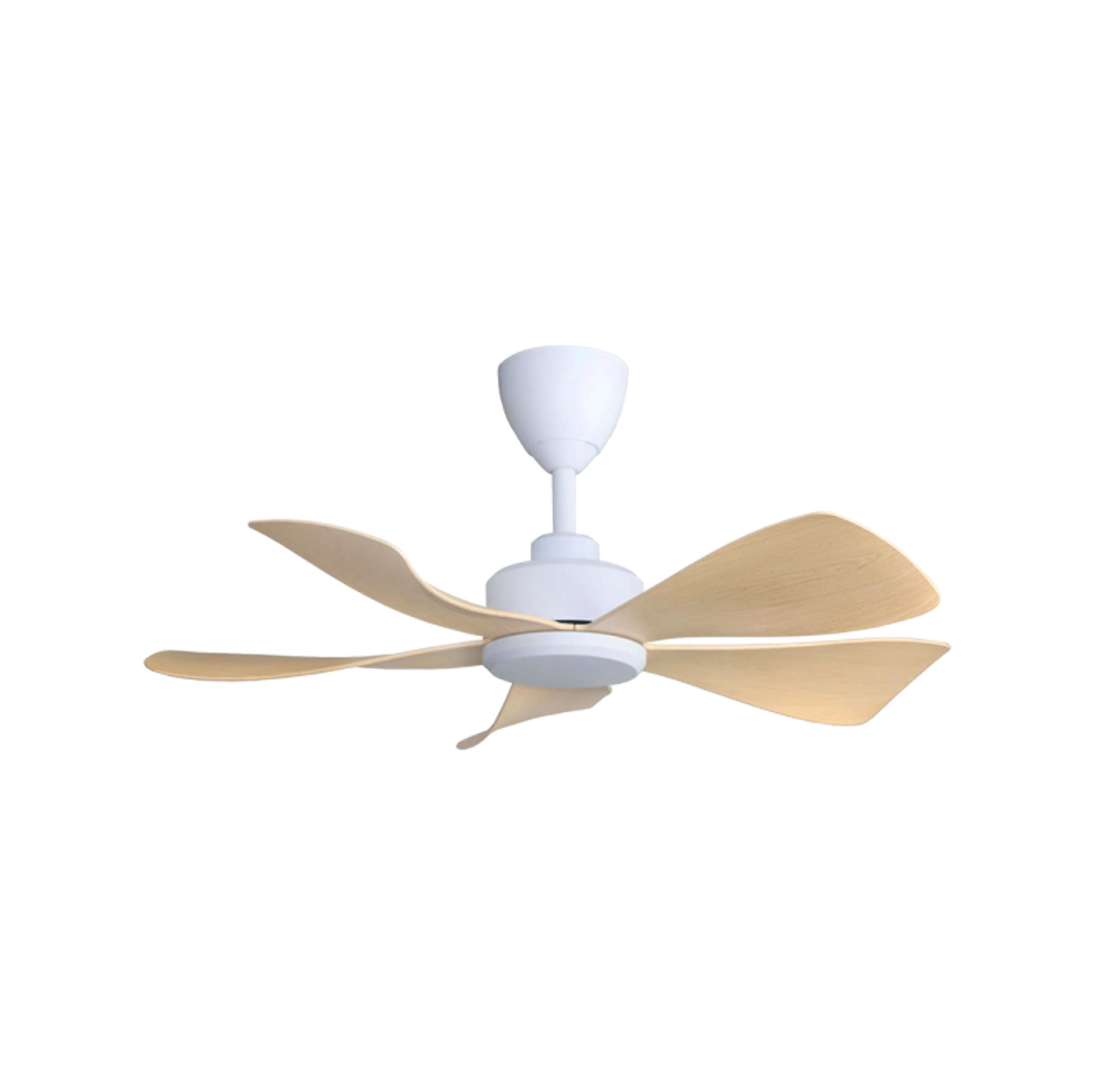 Dc Motor Ceiling Fan Maple