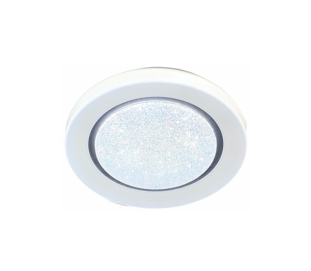 227 LED 24W Ceiling Light (3C)