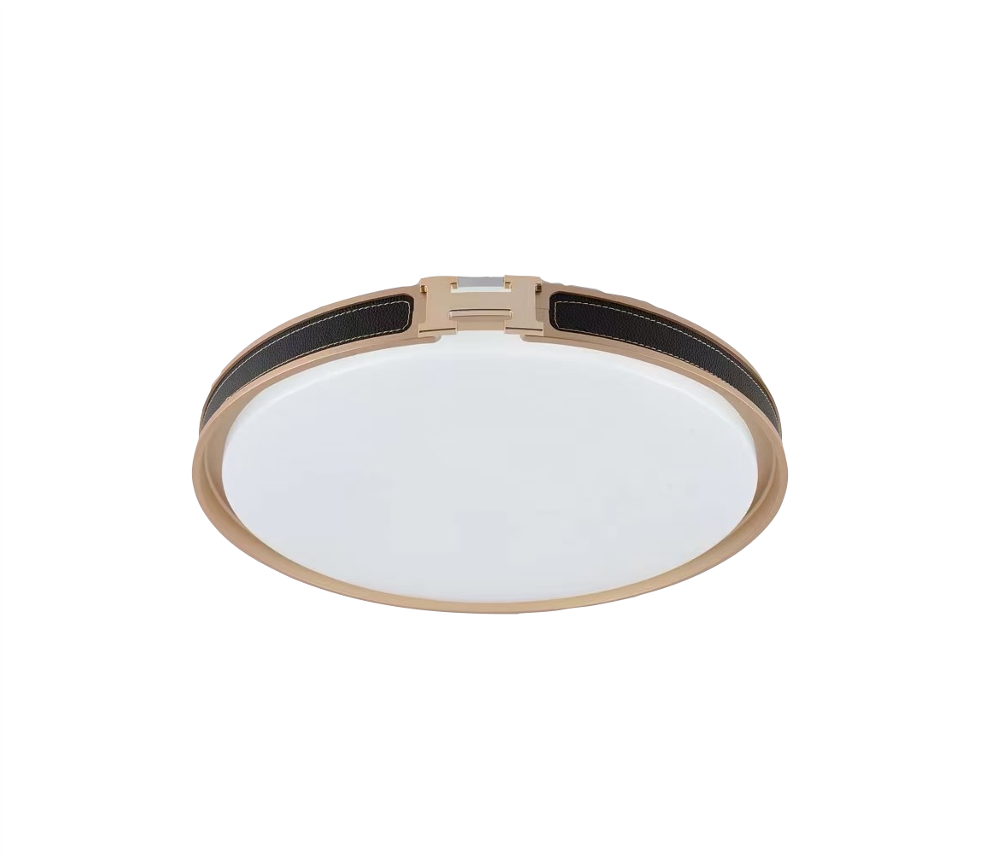 222 LED 24W Ceiling Light (3C)